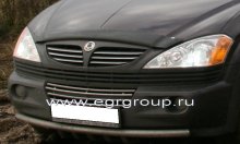   Ssang Yong Kyron 2006-2015 , EGR 