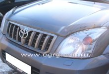   Toyota Land Cruiser Prado 120 2002-2008 , EGR 