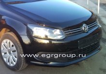   Volkswagen Polo 2010- , EGR 