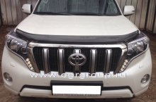   Toyota Land Cruiser Prado 150 2014-2017 , EGR 