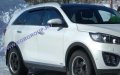    Kia Sorento Prime 2015- , 4 , EGR 